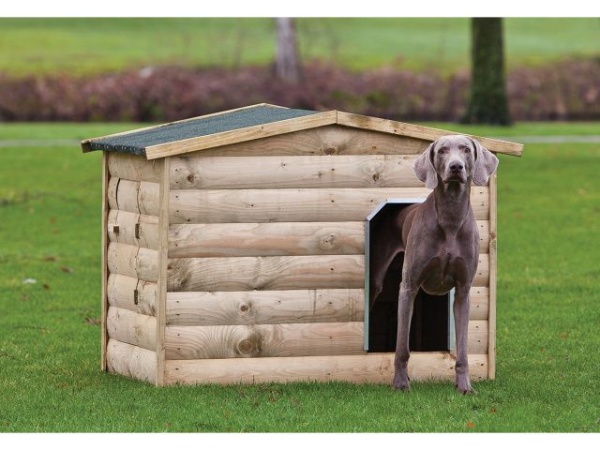 hondenhok buiten labrador