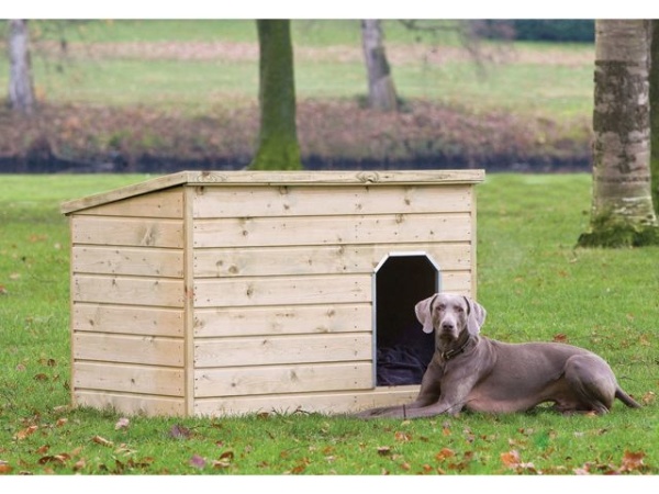 houten hondenhok teckel