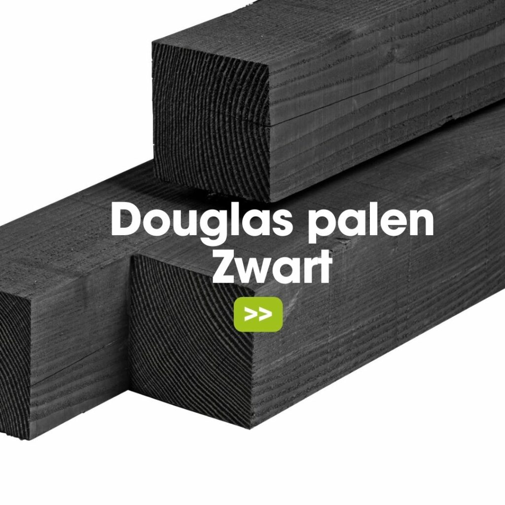 douglas palen zwart