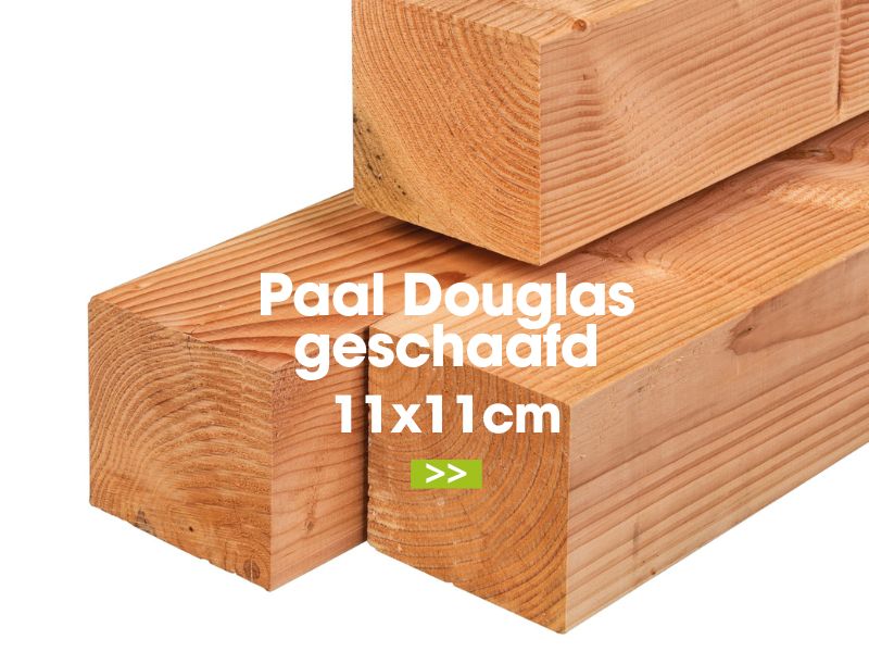 paal douglas 11x11