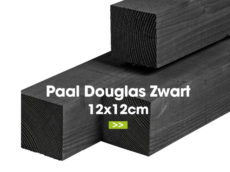 paal douglas zwart 12x12