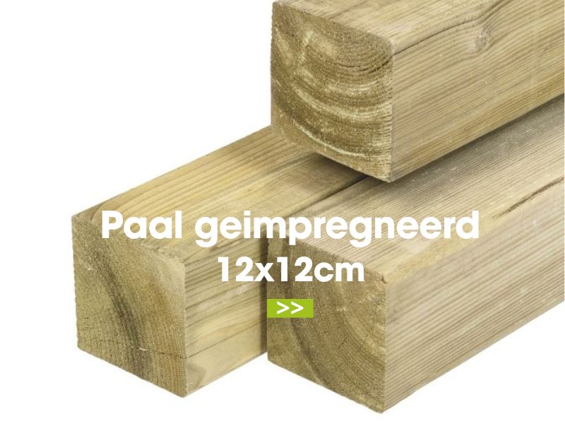 paal geimpr12x12