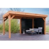 Overkapping Douglas Premium geschaafd 400x300cm