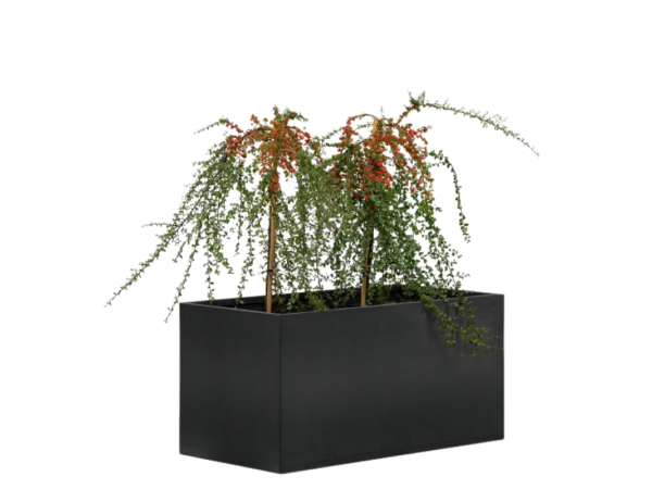 Bloembak Mohawk zwart 50x90cm