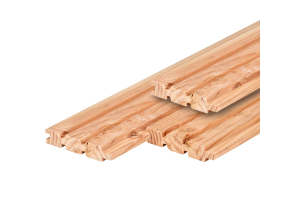 Douglas-triple-profiel-geschaafd-dubbelzijdig-28x145mm-300cm.png