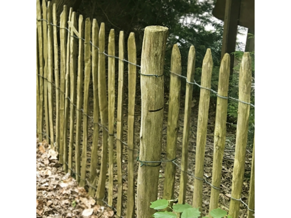 Kastanje-Paal-14-16cm-lengte-300cm.png